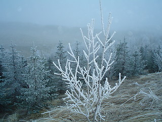 Image showing cold weather
