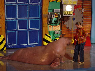 Image showing Walrus Show