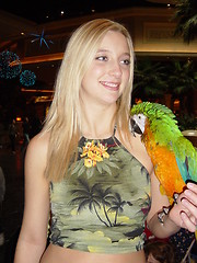 Image showing Parrot Show