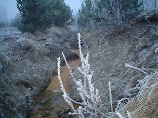 Image showing frosty straw