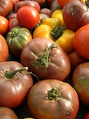 Image showing heirloom tomatoes