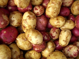 Image showing fresh potaotes