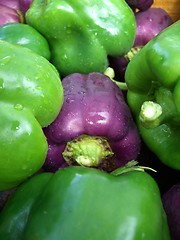 Image showing peppers
