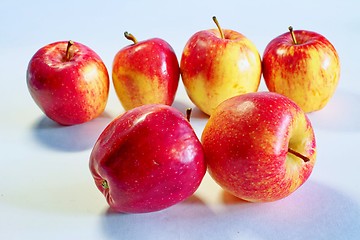 Image showing apples  