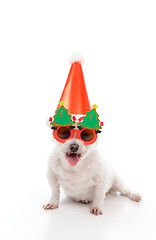 Image showing Happy Dog Christmas Party