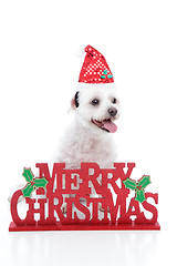 Image showing Puppy dog and Merry Christmas sign