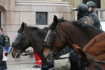 Image showing Police horse