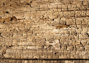 Image showing Old wood texture