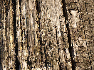 Image showing Old wood texture