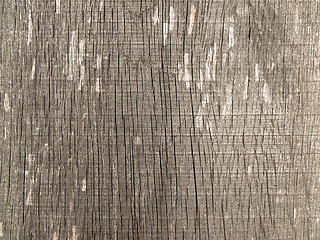 Image showing Wood texture