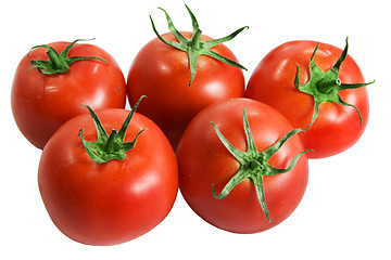 Image showing tomatoes