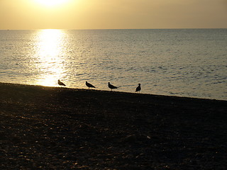 Image showing Sunset