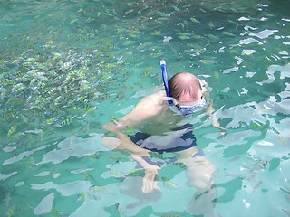 Image showing snorkeling with fishes
