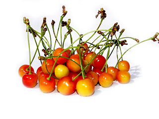 Image showing Cherries