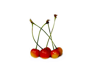 Image showing Cherries