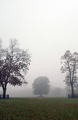 Image showing autumn foggy scene