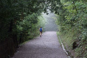 Image showing Morning run in Grenoble