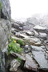 Image showing hiking in frensh alpes in summer