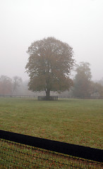 Image showing foggy fall morning