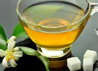 Image showing cup of green tea