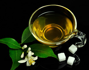 Image showing cup of green tea