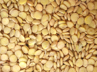 Image showing Beans salad