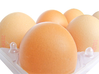 Image showing Eggs picture