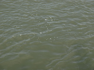 Image showing Water picture