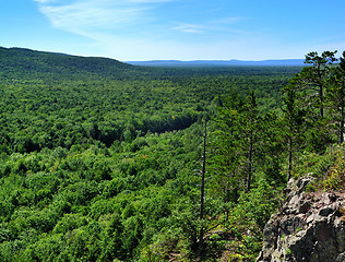 Image showing mountain forest 
