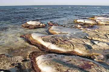 Image showing Winter shore of the Caspian Sea.