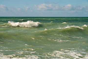 Image showing Shore of the Caspian Sea.