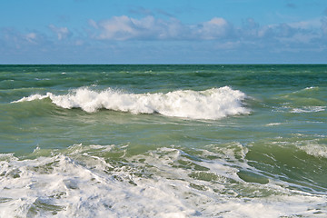 Image showing Shore of the Caspian Sea.