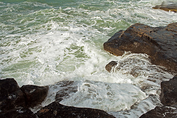 Image showing Shore of the Caspian Sea.