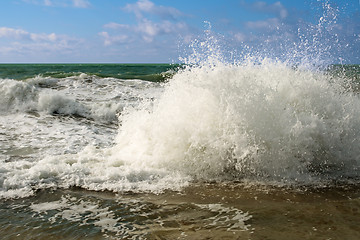 Image showing Shore of the Caspian Sea.