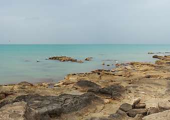 Image showing Shore of the Caspian Sea.