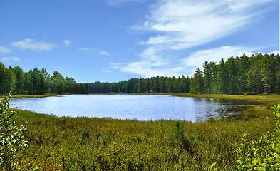 Image showing forest lake 