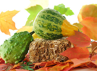 Image showing fall composition