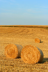 Image showing hay bales