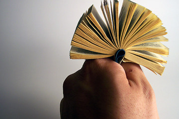 Image showing tiny fanner book