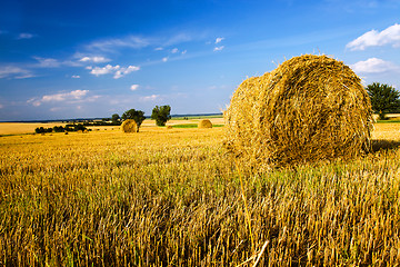 Image showing stack of straw (wheat)