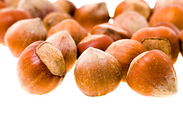 Image showing hazelnuts (isolated)
