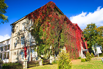 Image showing University of Grodno