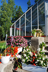 Image showing flowers in pots  next to a greenhouse