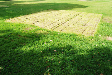 Image showing patch on the green lawn