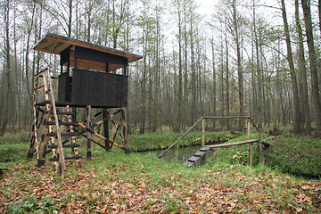 Image showing Hunting Tower in Spree Wald, Germany