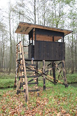 Image showing Hunting Tower in Spree Wald, Germany