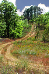 Image showing Rural road