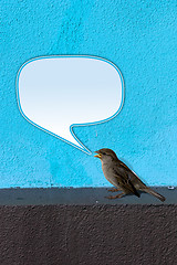 Image showing Bird twittering