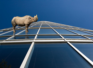 Image showing Rhino standung on skyscraper windows