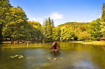 Image showing Lake (autumn season)
